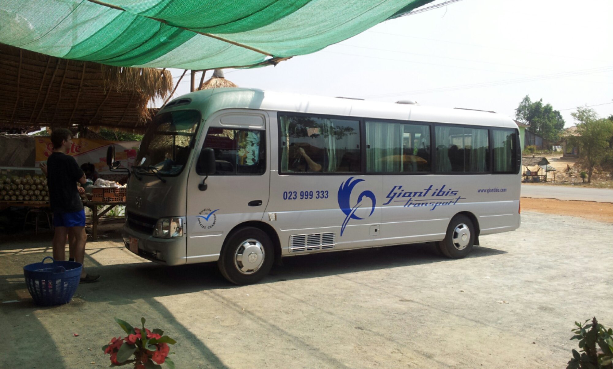 Cambodia by bus: Mekong Express and Giant Ibis Bus Review - Traveling German