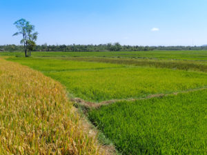 Lak Lake to Dray Sap Waterfall: Day 2 of our Vietnam Motorcycle Tour